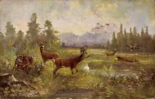 Künstler Ak Müller, M., Landschaft mit Rehen und Enten