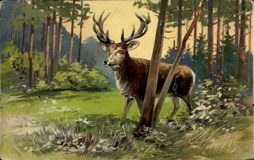 Präge Litho Hirsch im Wald, Wiese, Geweih