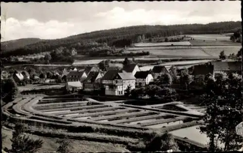 Ak Albaum Kirchhundem Sauerland, Teichanlage der Landesfischanstalt