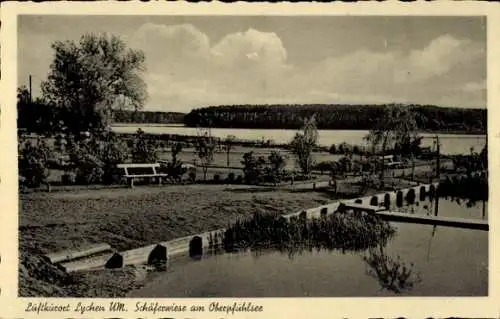 Ak Lychen in der Uckermark, Schäferwiese, Oberpfühlsee