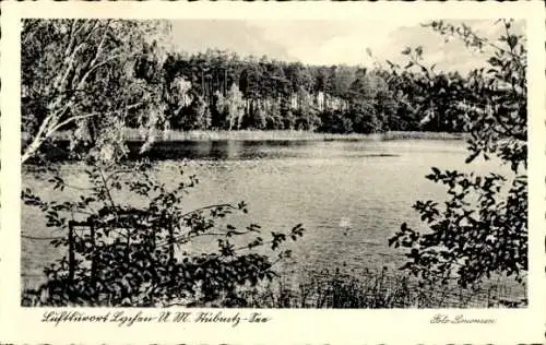 Ak Lychen in der Uckermark, Blick über den Stübnitzsee