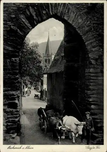 Ak Bacharach am Rhein, Durchblick Steeger Tor, Kirche, Rinderfuhrwerk