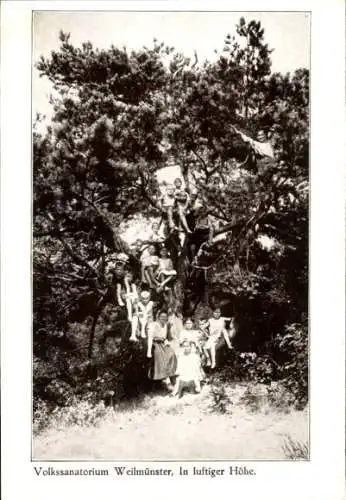 Ak Weilmünster im Taunus Hessen, Volkssanatorium, Kinder auf einem Baum