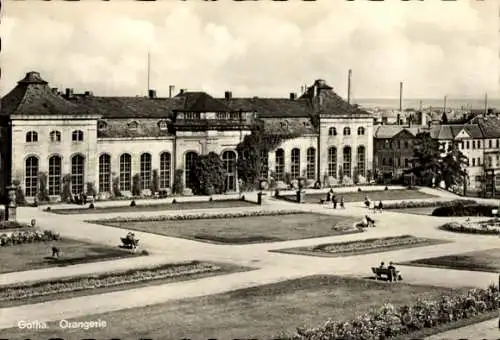 Ak Gotha in Thüringen, Orangerie, Gartenanlage