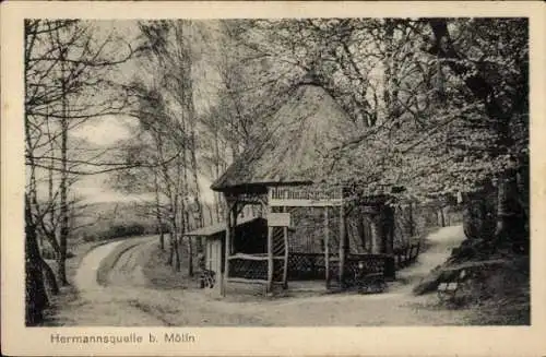 Ak Mölln im Herzogtum Lauenburg, Hermannsquelle, Wald