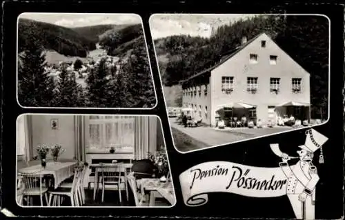 Ak Dürrenwaid Geroldsgrün Oberfranken, Pension Pössnecker, Teilansichten