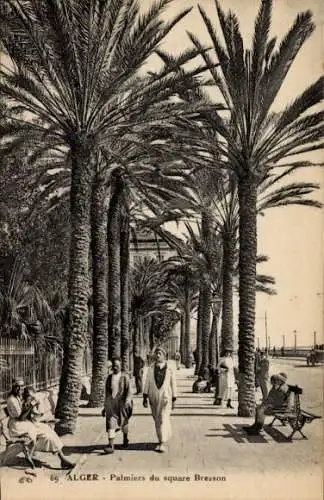 Ak Algier Alger Algerien, Palmen am Bresson Platz