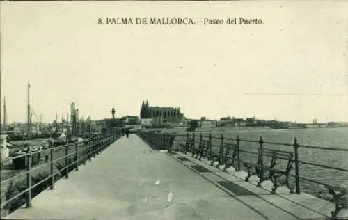 Ak Palma de Mallorca Balearen, Paseo del Puerto