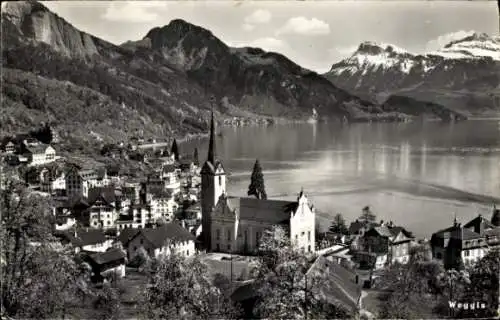 Ak Weggis Kanton Luzern, Gesamtansicht