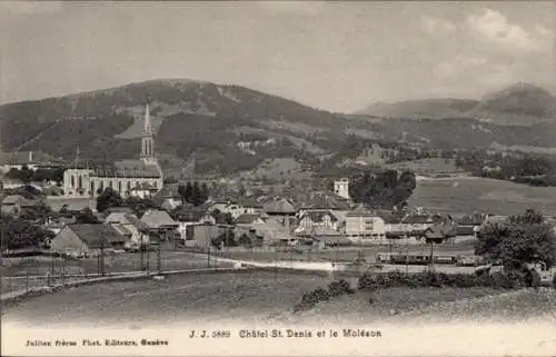 Ak Châtel Saint Denis Kanton Freiburg, Panorama, Moleson