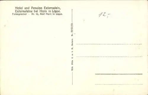 Ak Horn Bad Meinberg im Teutoburger Wald Westfalen, Hotel und Pension Externstein