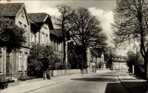 Ak Boizenburg an der Elbe, Hamburger Straße, Wohnhäuser