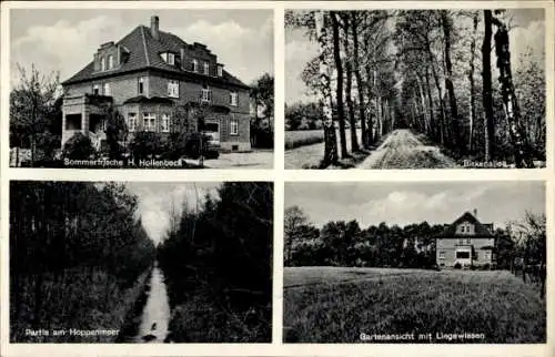 Ak Rietberg in Westfalen, Sommerfrische H. Hollenbeck, Hoppenmeer, Birkenallee, Gartenansicht