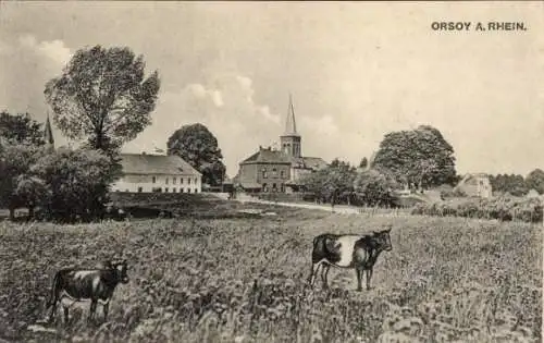 Ak Orsoy Rheinberg am Niederrhein, Gesamtansicht, Kühe