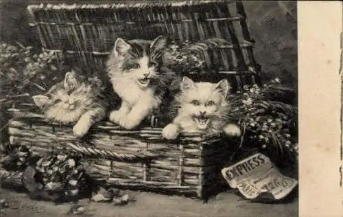 Künstler Litho Huber, E., Junge Katzen in einer Truhe