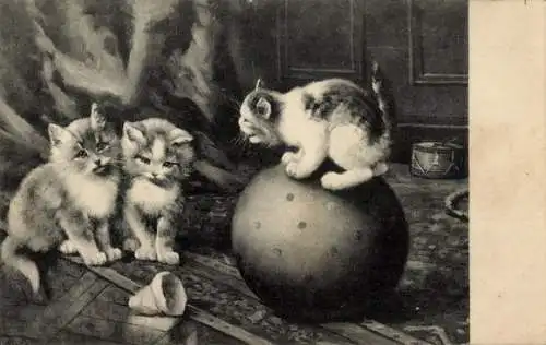 Künstler Litho Huber, E., Spielende Katzen, Ball, Trommel