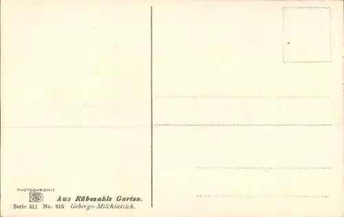 Ak Rübezahls-Garten, Gebirgs-Milchlattich