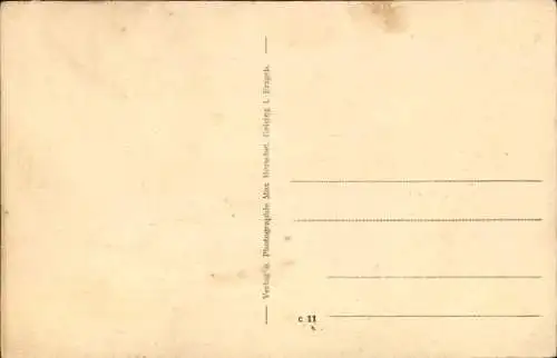 Ak Geising Altenberg im Erzgebirge, Panorama