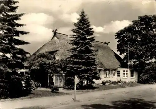 Ak Ostseebad Graal Müritz, Gärtnerei