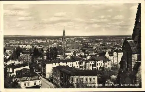 Ak Eberswalde im Kreis Barnim, Blick vom Drachenkopf