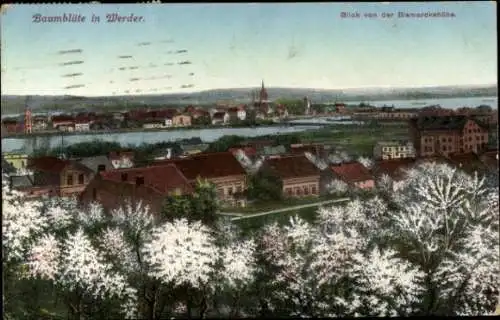 Ak Werder an der Havel, Baumblüte, Blick von der Bismarckhöhe