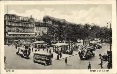 Ak Berlin Mitte, Unter den Linden, Busse