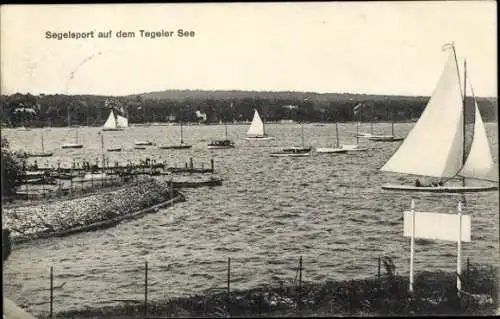 Ak Berlin Reinickendorf Tegel, Tegeler See, Segelboote