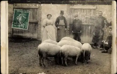 Foto Ak Schweine und Personen auf einem Bauernhof