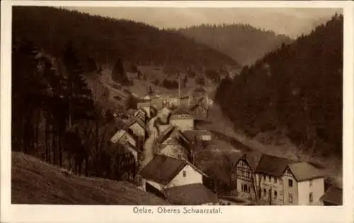 Ak Oelze Katzhütte im Schwarzatal, Gesamtansicht, Schwarzatal