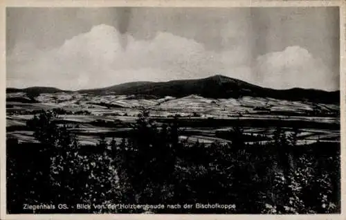 Ak Głuchołazy Zdrój Bad Ziegenhals Schlesien, Holzbergbaude, Bischofkoppe