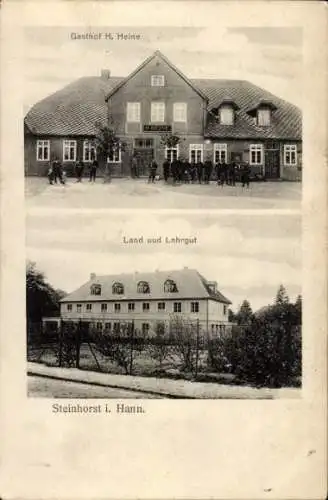 Ak Steinhorst in Niedersachsen, Gasthof H. Heine, Land und Lehrgut