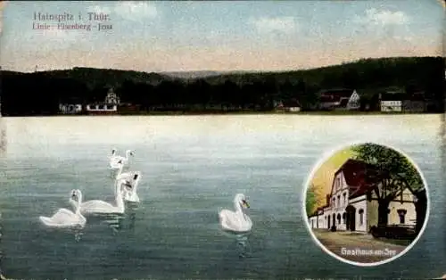 Ak Hainspitz in Thüringen, Partie und Gasthaus am See, Schwäne