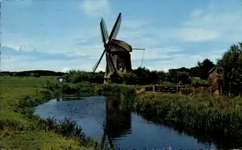 Ak Bergen Nordholland Niederlande, Damländer Mill