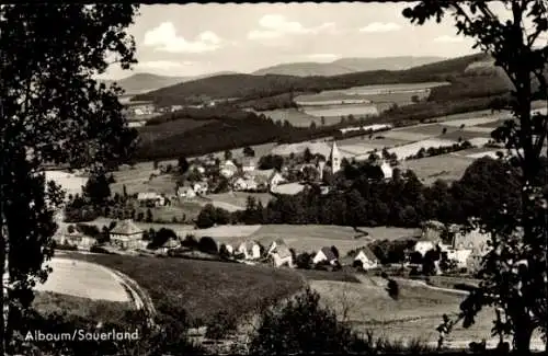 Ak Albaum Kirchhundem im Sauerland, Gesamtansicht