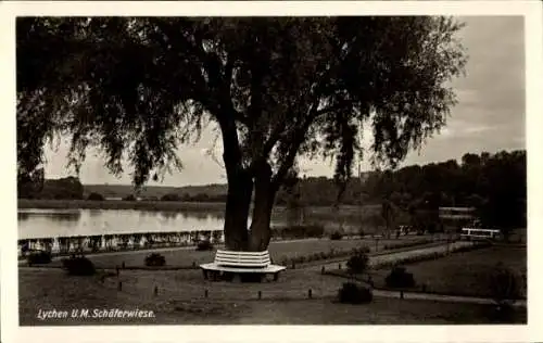 Ak Lychen in der Uckermark, Schäferwiese