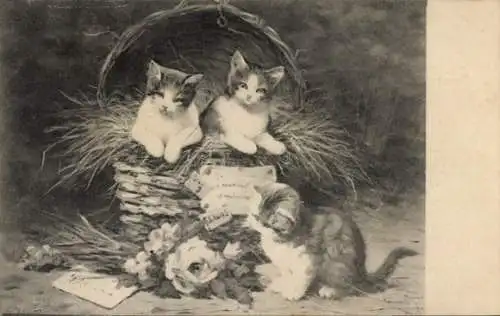 Künstler Litho Huber, E., Junge Katzen, Korb, Blumen, Stroh