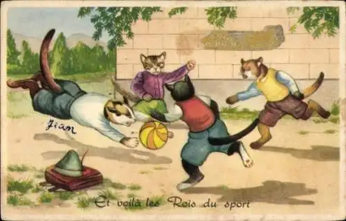 Ak Katzen spielen Fußball, Fußballspieler