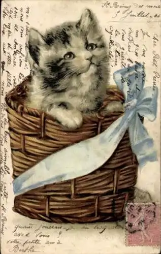 Präge Litho Katze im Korb, Blaue Schleife