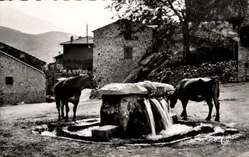 Ak Vernet les Bains Pyrénées Orientales, La Source du Chateau