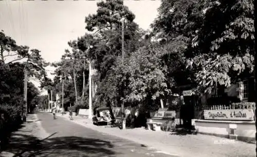 Ak Ronce les Bains Charente Maritime, Allee de Beaupreau