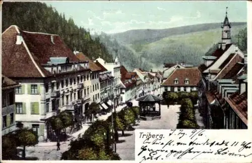 Ak Triberg im Schwarzwald, Teilansicht