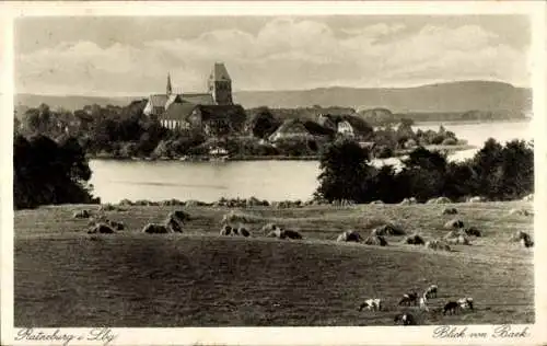 Ak Ratzeburg im Herzogtum Lauenburg, Blick vom Baek