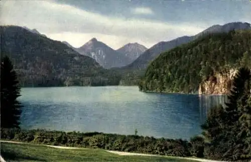 Ak Hohenschwangau Schwangau im Ostallgäu, Blick auf den Alpsee