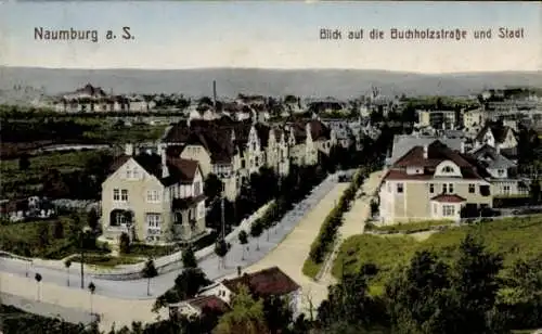 Ak Naumburg an der Saale, Buchholzstraße, Panorama