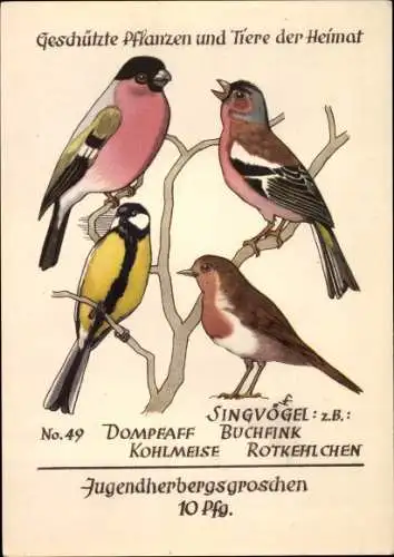 Ak Jugendherbergsgroschen, Geschützte Pflanzen und Tiere, Dompfaff, Kohlmeise, Buchfink, Rotkehlchen