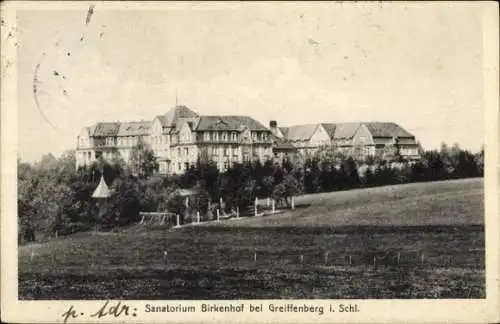 Ak Gryfów Śląski Greiffenberg Schlesien, Sanatorium Birkenhof, Außenansicht