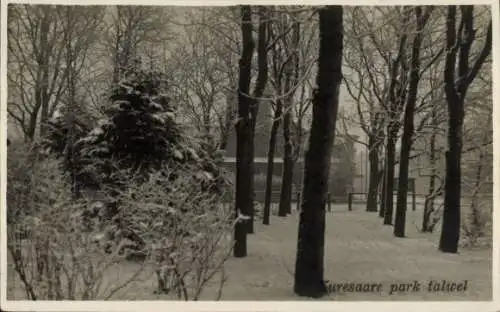 Ak Kuressaare Arensburg Estland, Park