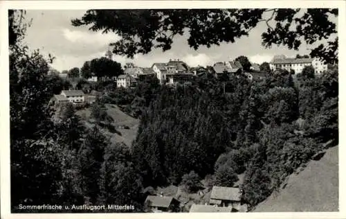 Ak Mitterfels in Niederbayern, Gesamtansicht