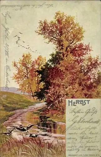 Künstler Ak Allegorie, Herbst, Flusspartie, Landschaft, Enten