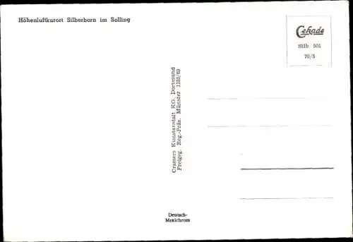 Ak Silberborn Holzminden im Solling, Panorama